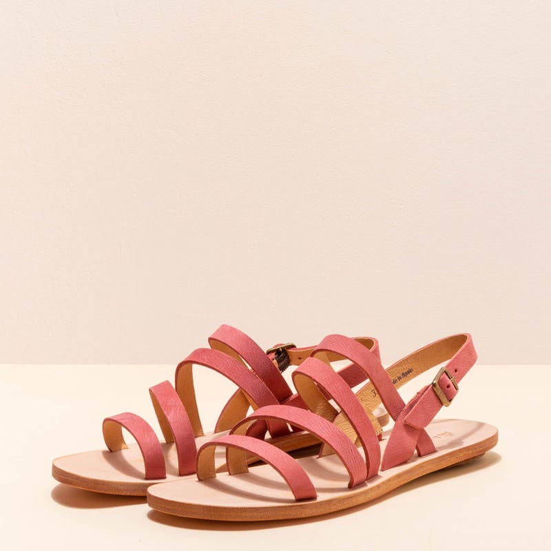 El Naturalista 5711 CORATINA