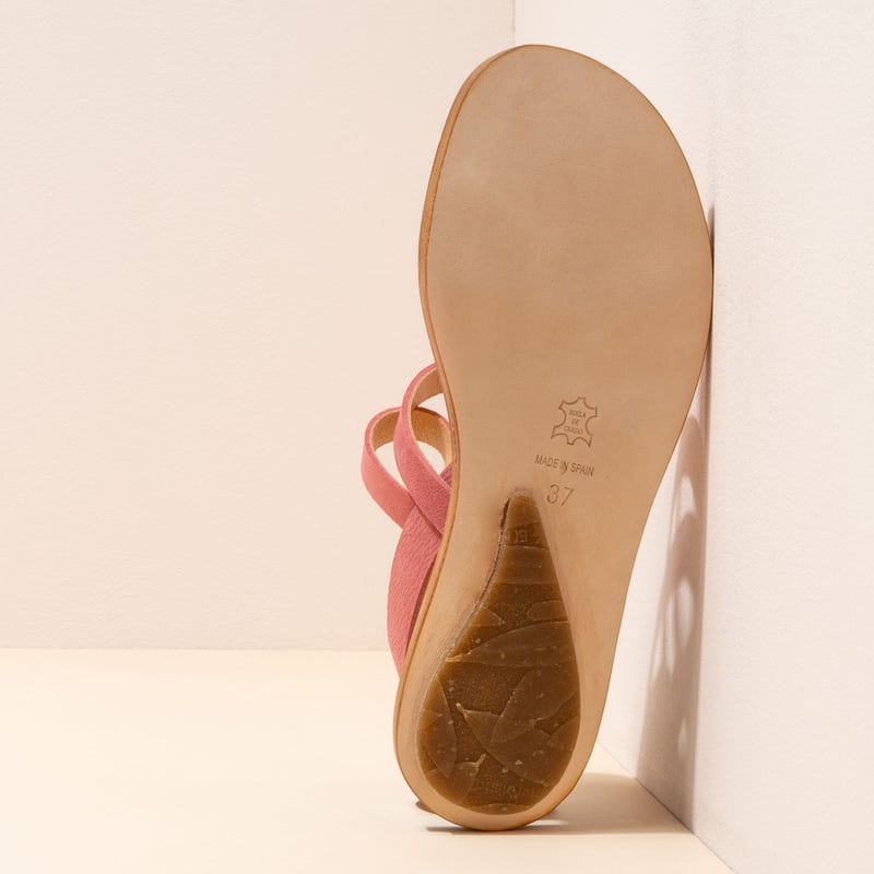 El Naturalista 5711 CORATINA