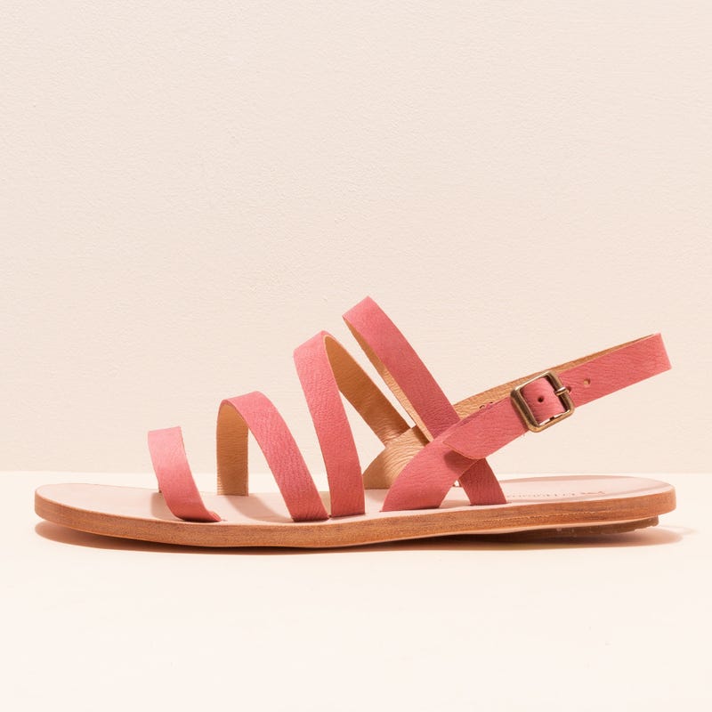 El naturalista 5711 CORATINA