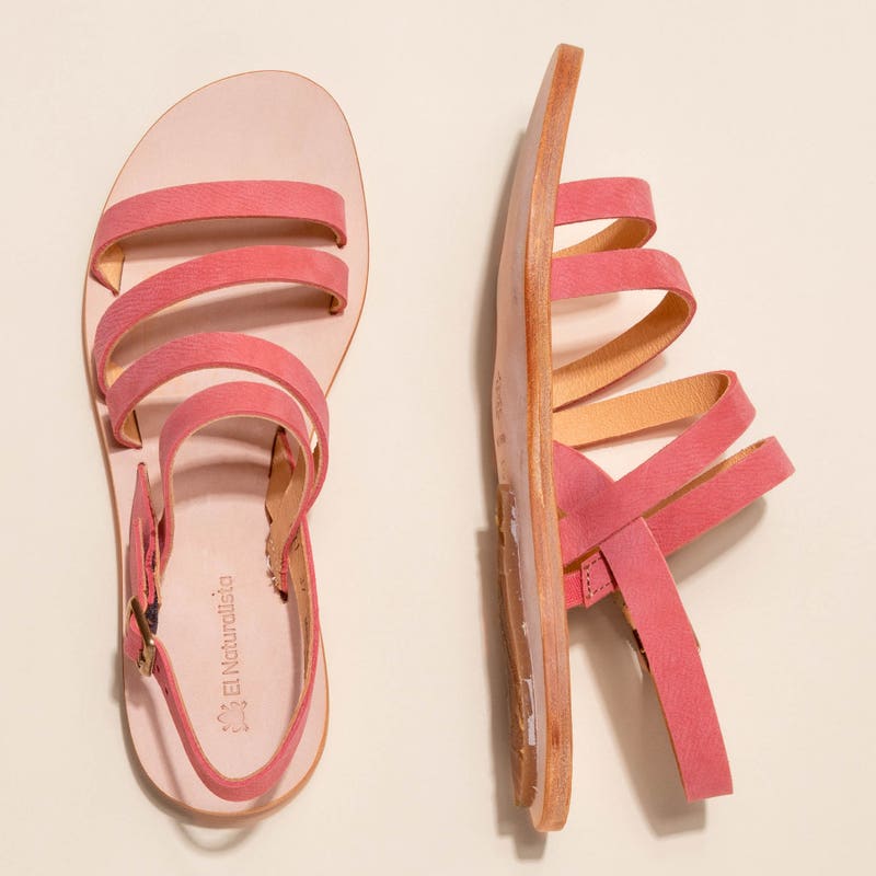 El Naturalista 5711 CORATINA