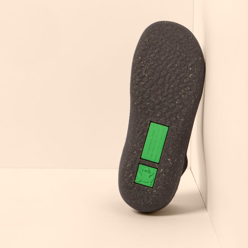 El Naturalista 5734 PAWIKAN