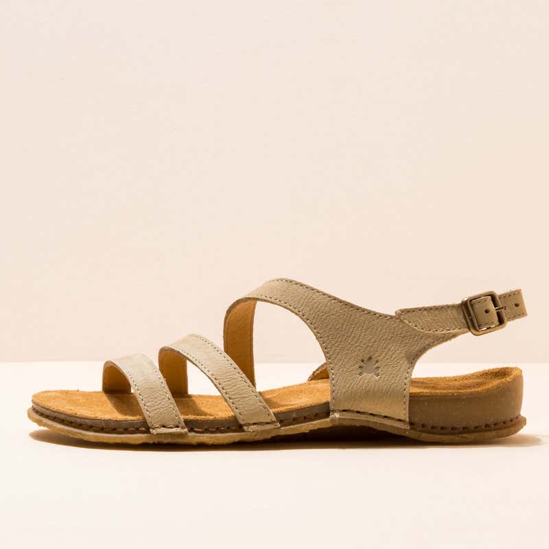 El Naturalista 5811 PANGLAO