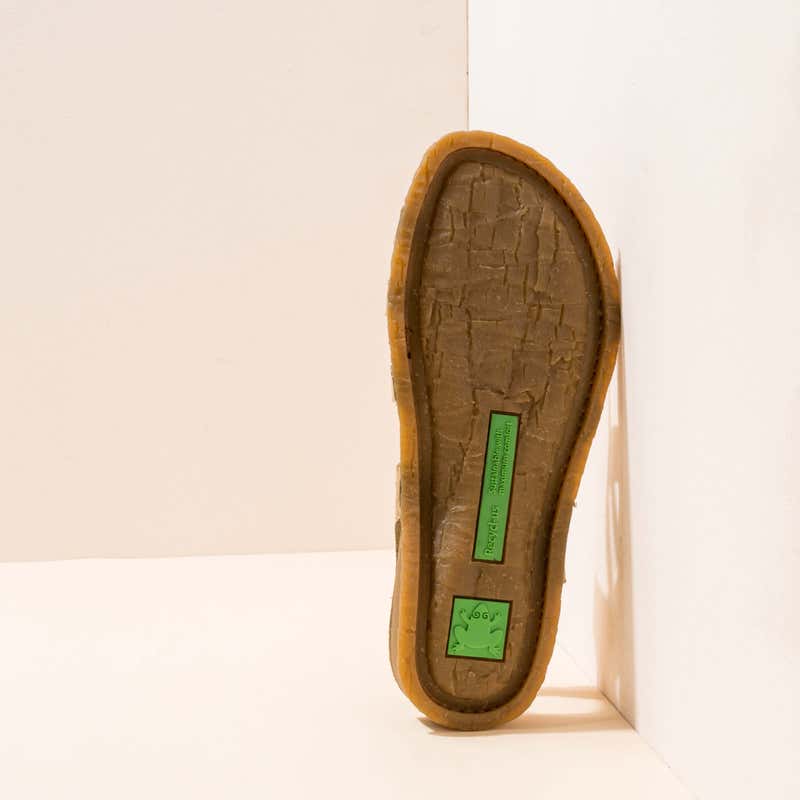 El Naturalista 5811 PANGLAO