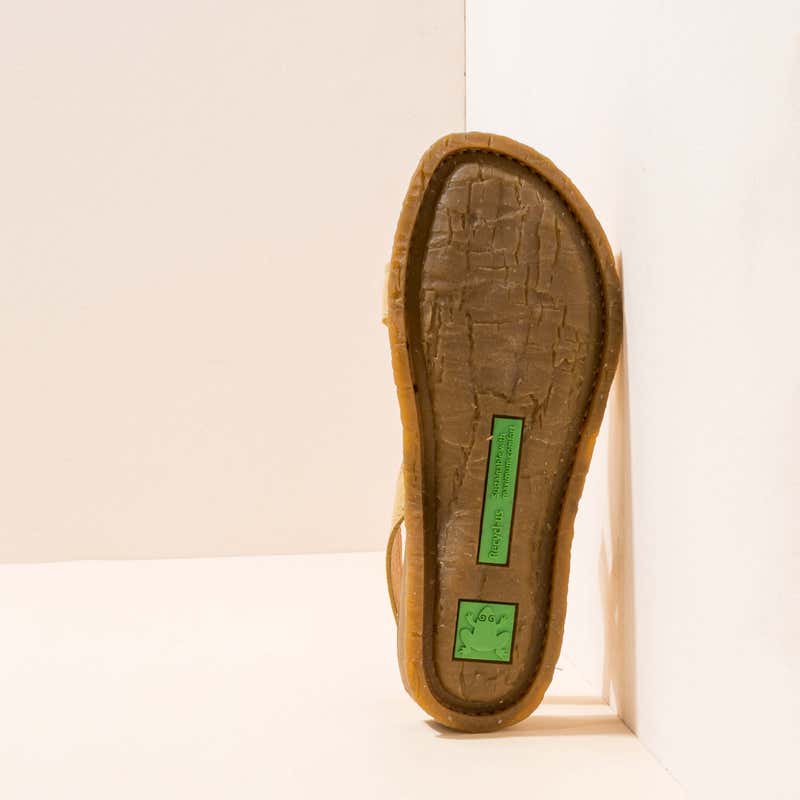 El Naturalista 5813 PANGLAO