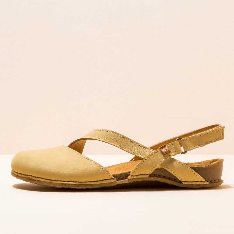 El naturalista 5813 PANGLAO