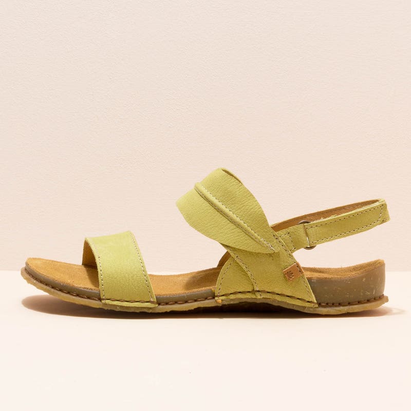 El naturalista 5814 PANGLAO