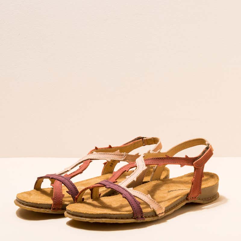 El Naturalista 5815 PANGLAO