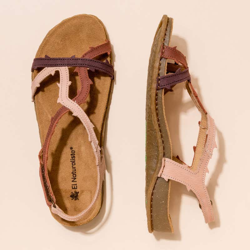 El Naturalista 5815 PANGLAO