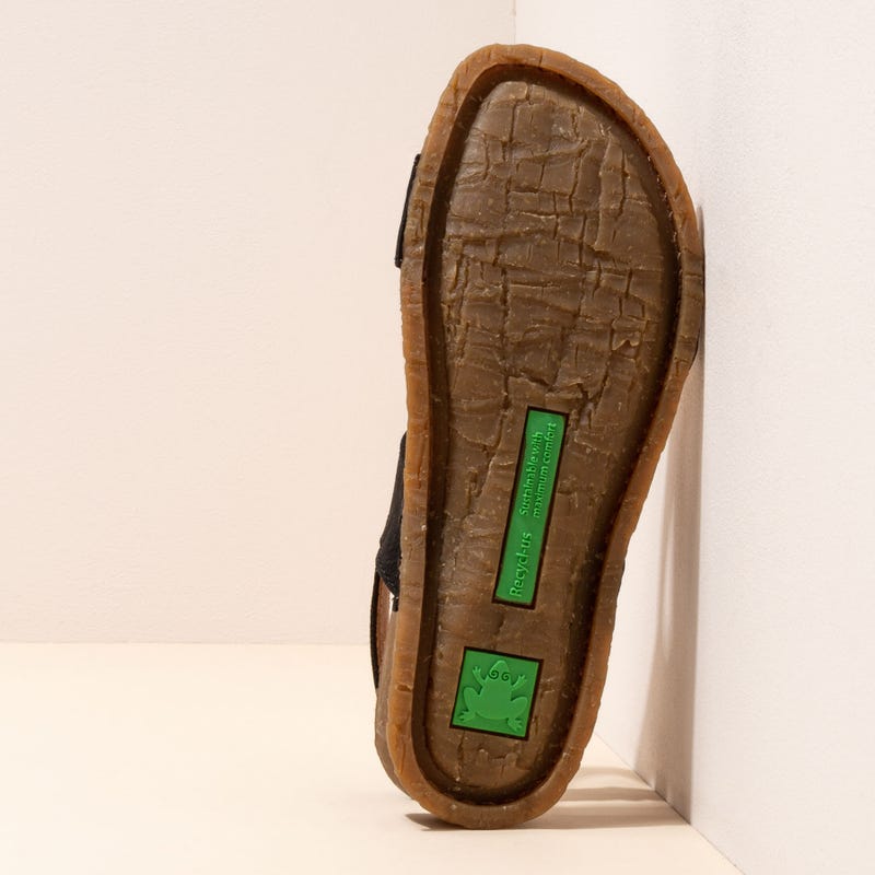 El Naturalista 5816 INDIA PRODUCCIÓN