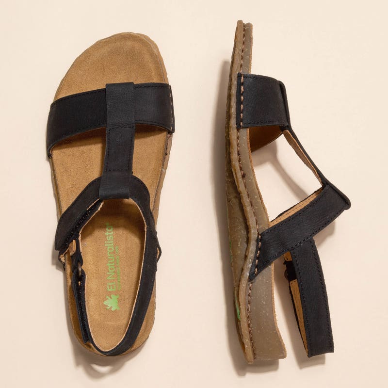 El Naturalista 5816 INDIA PRODUCCIÓN