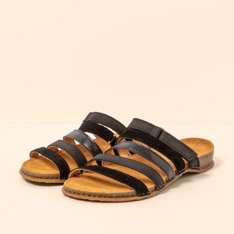 El Naturalista 5818 PANGLAO