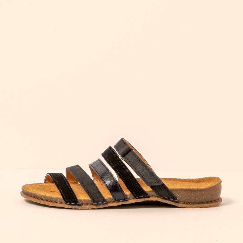 El naturalista 5818 PANGLAO