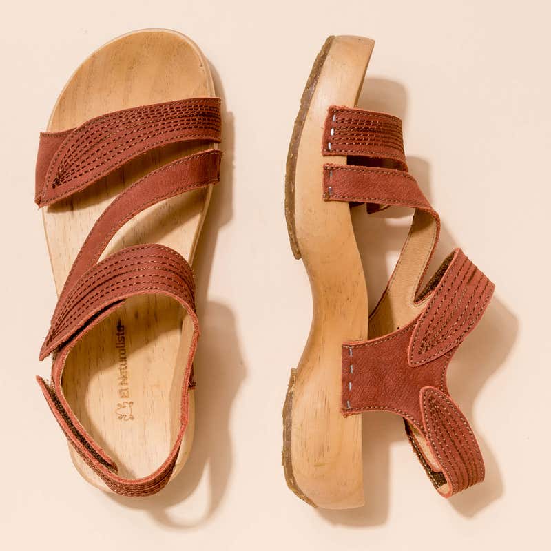 El Naturalista 5830 SHOKUNIN