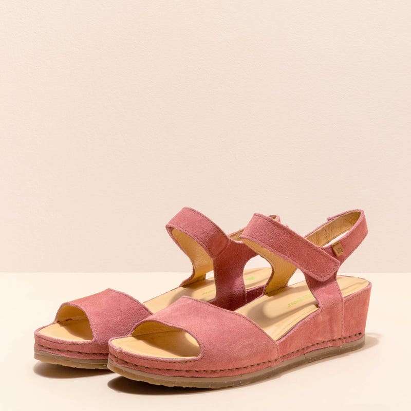 El Naturalista 5851 INDIA PRODUCCIÓN