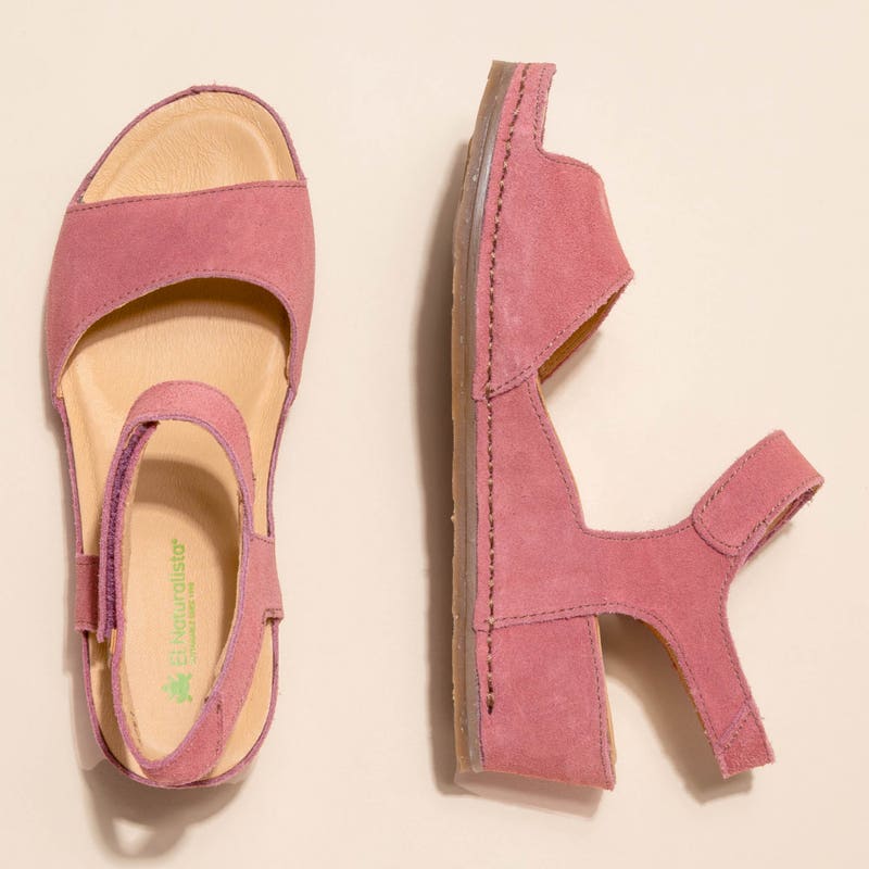 El Naturalista 5851 INDIA PRODUCCIÓN