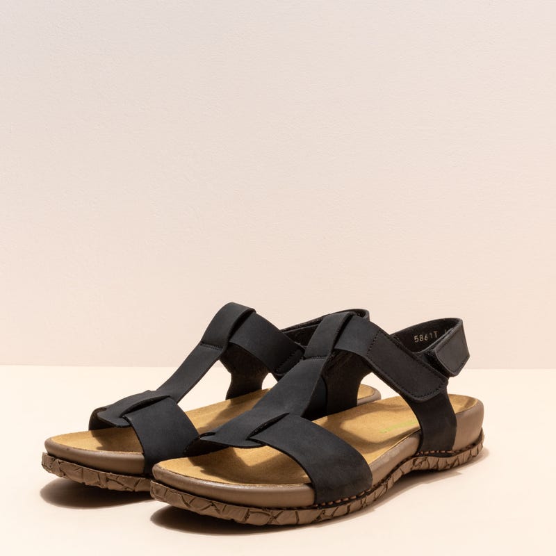 El Naturalista 5861T TABERNAS