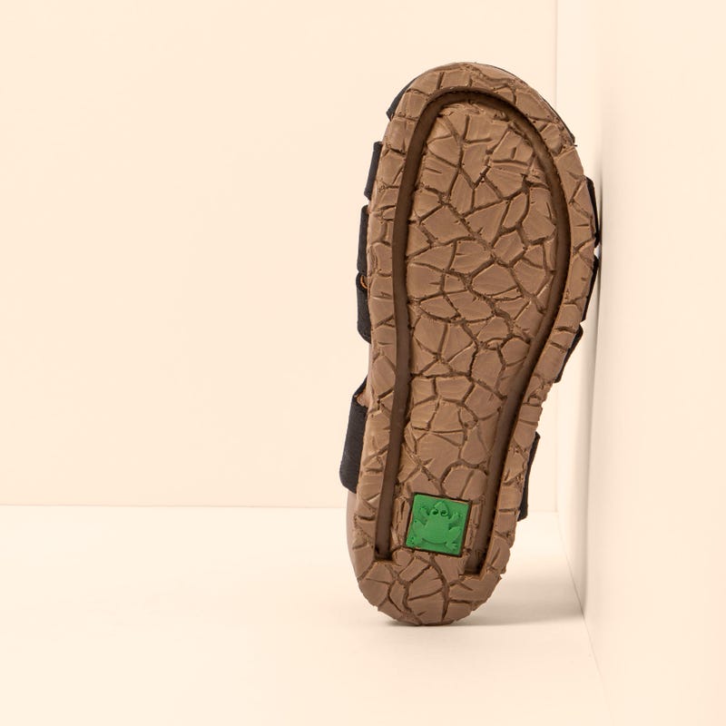 El Naturalista 5862 TABERNAS