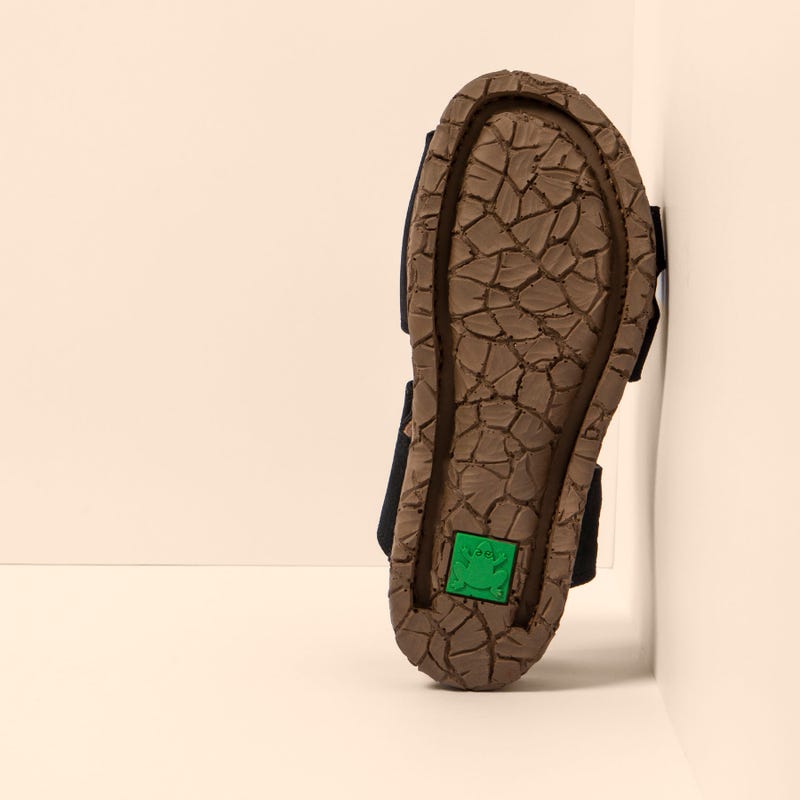 El Naturalista 5863 TABERNAS