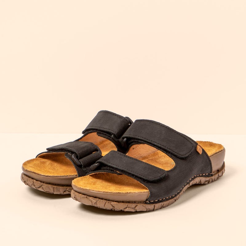 El Naturalista 5866 TABERNAS