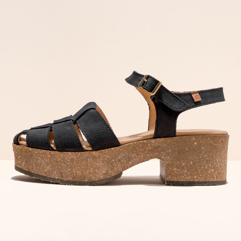 El naturalista 5891 ARBEQUINA