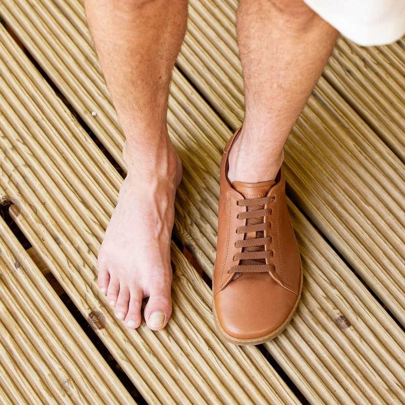 El Naturalista 5910 ORIGEN