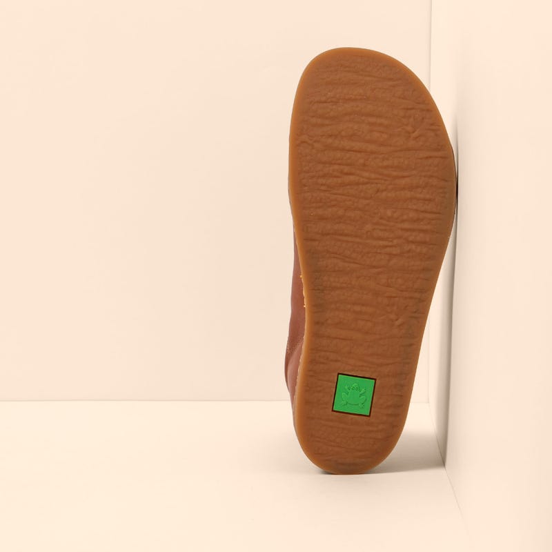 El Naturalista 5910 ORIGEN