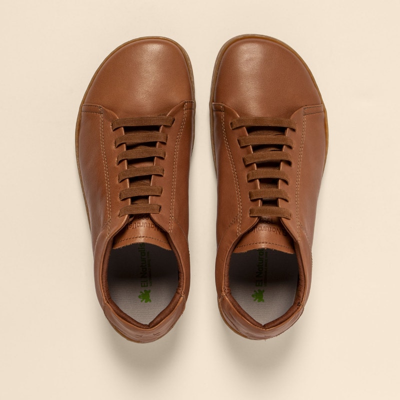 El naturalista 5910 ORIGEN