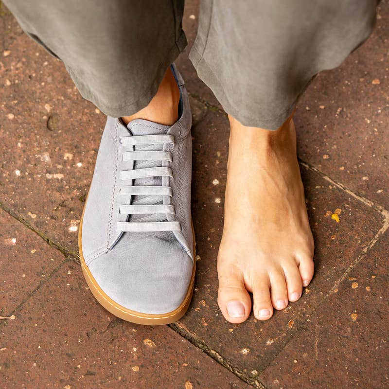 El Naturalista 5910L ORIGEN