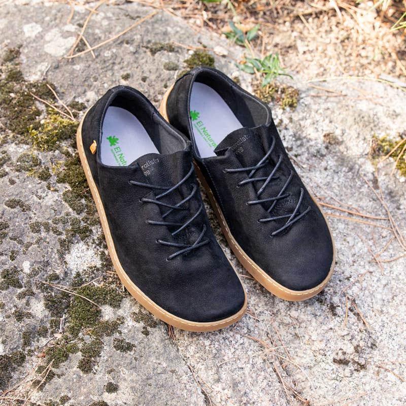 El Naturalista 5911 ORIGEN