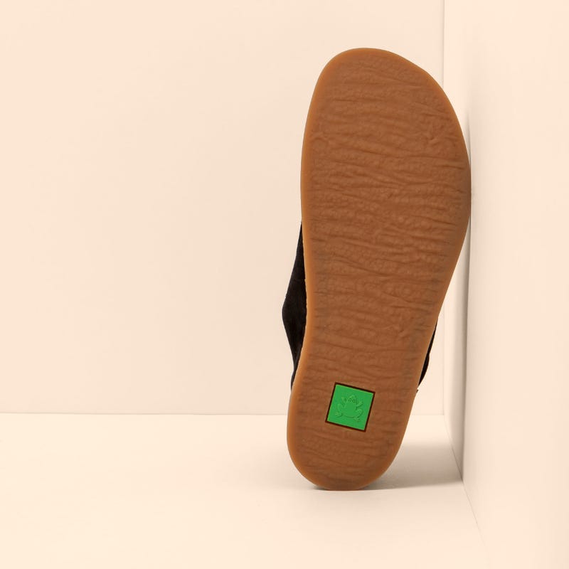 El Naturalista 5911 ORIGEN