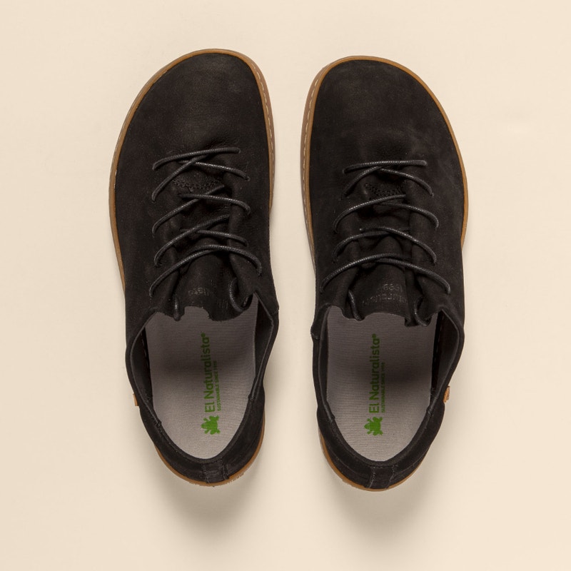 El Naturalista 5911 ORIGEN