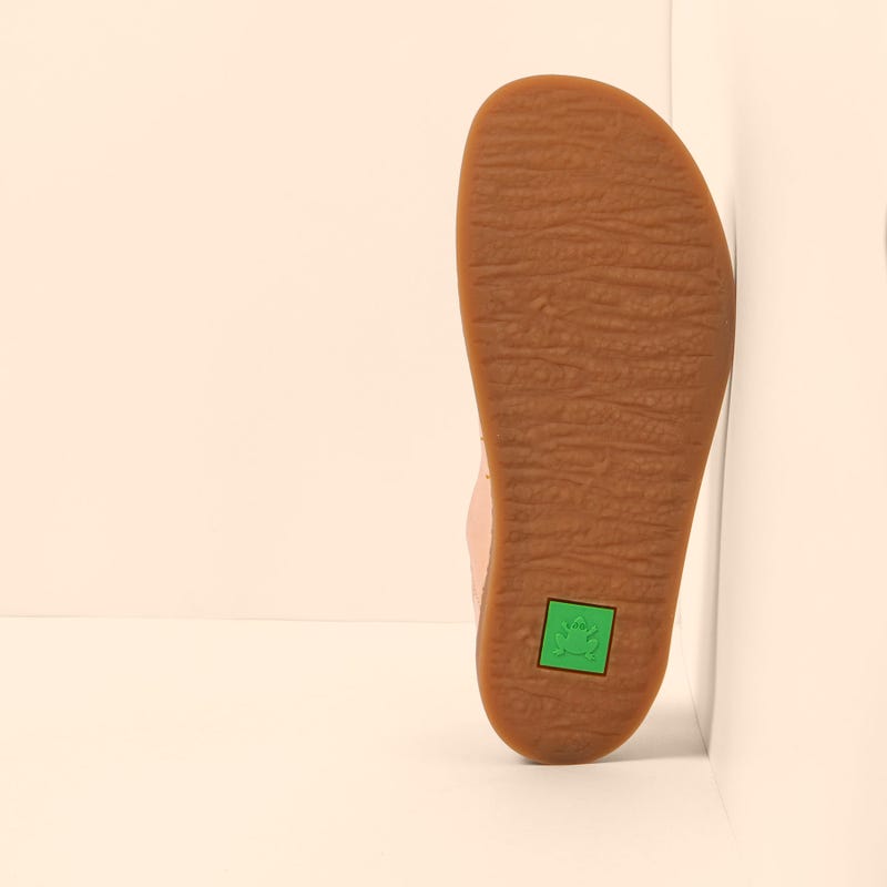 El Naturalista 5912 ORIGEN