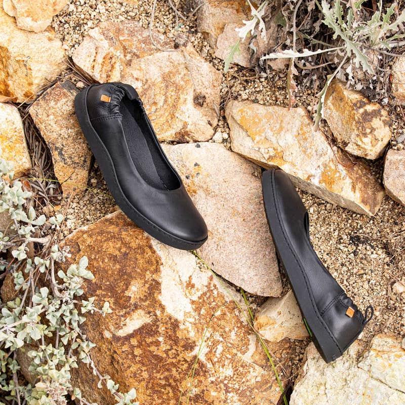 El Naturalista 5912 ORIGEN