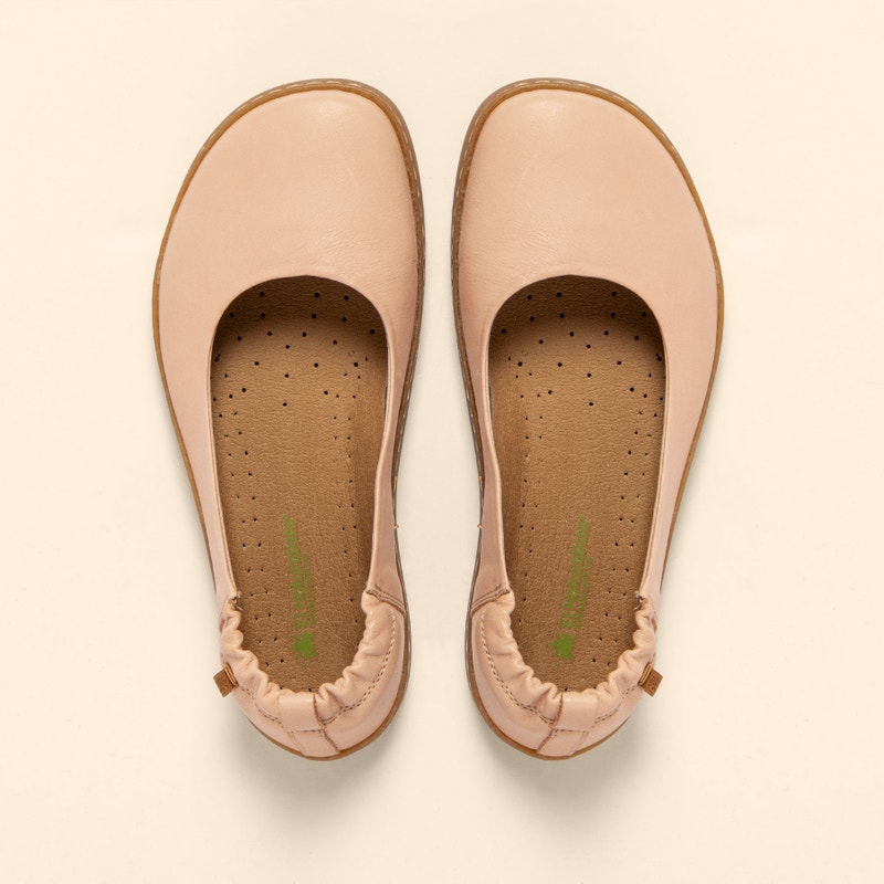 El Naturalista 5912 ORIGEN