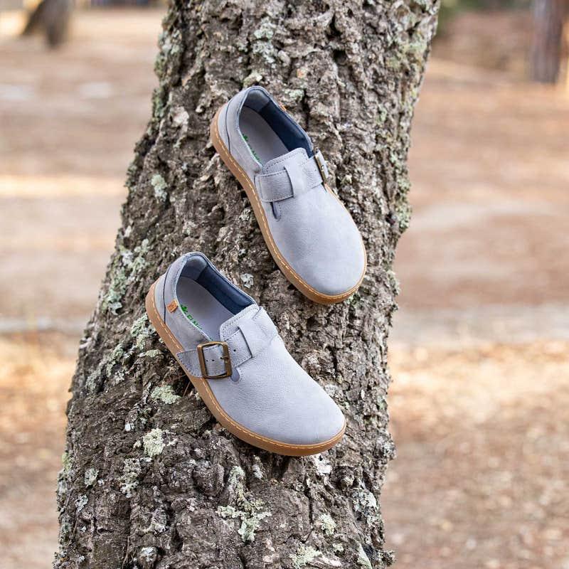 El Naturalista 5913 ORIGEN