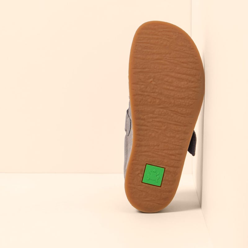 El Naturalista 5913 ORIGEN