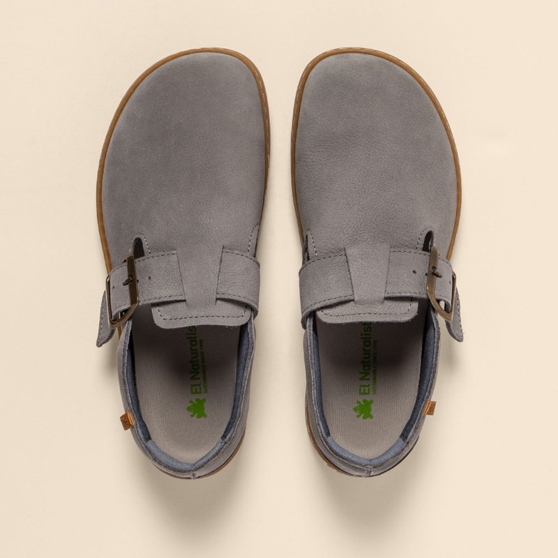 El naturalista 5913 ORIGEN