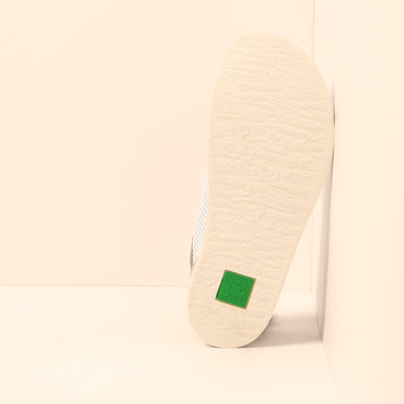 El Naturalista 5914 ORIGEN