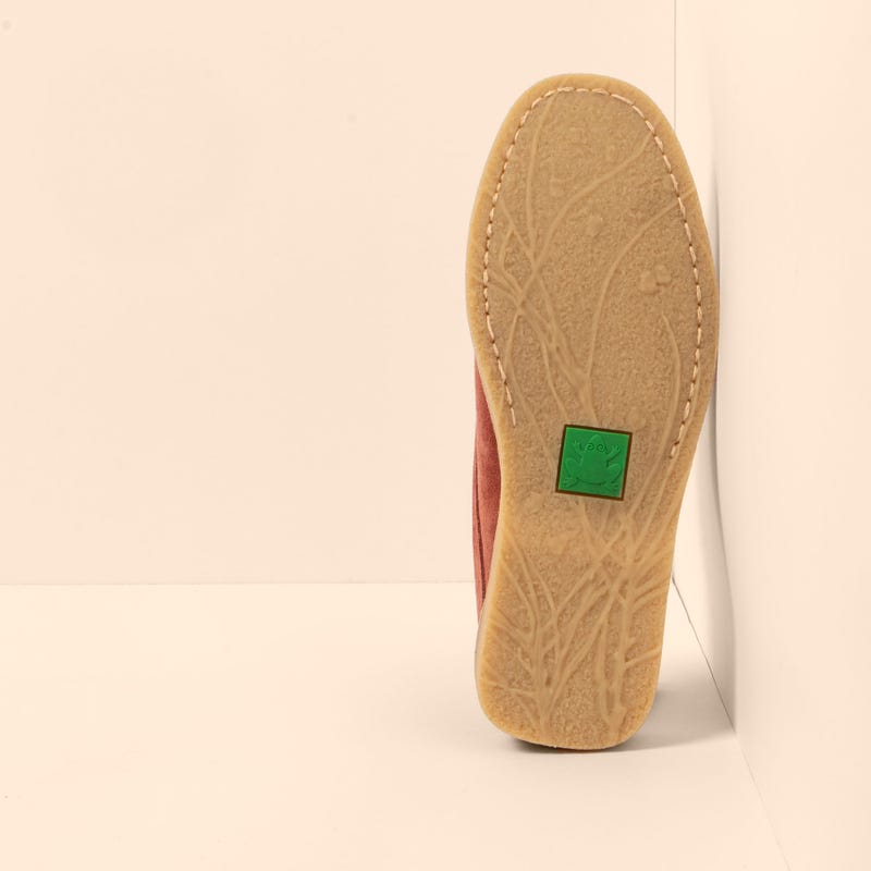 El Naturalista 5964 PLANTAE