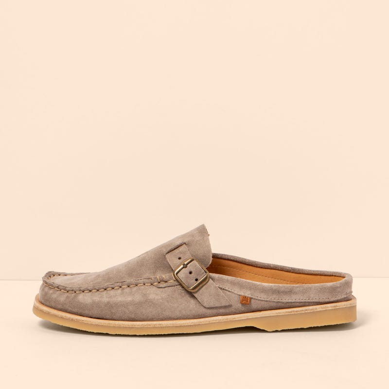 El Naturalista 5965 PLANTAE