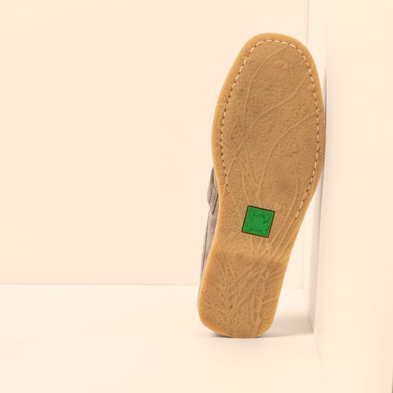 El Naturalista 5965 PLANTAE