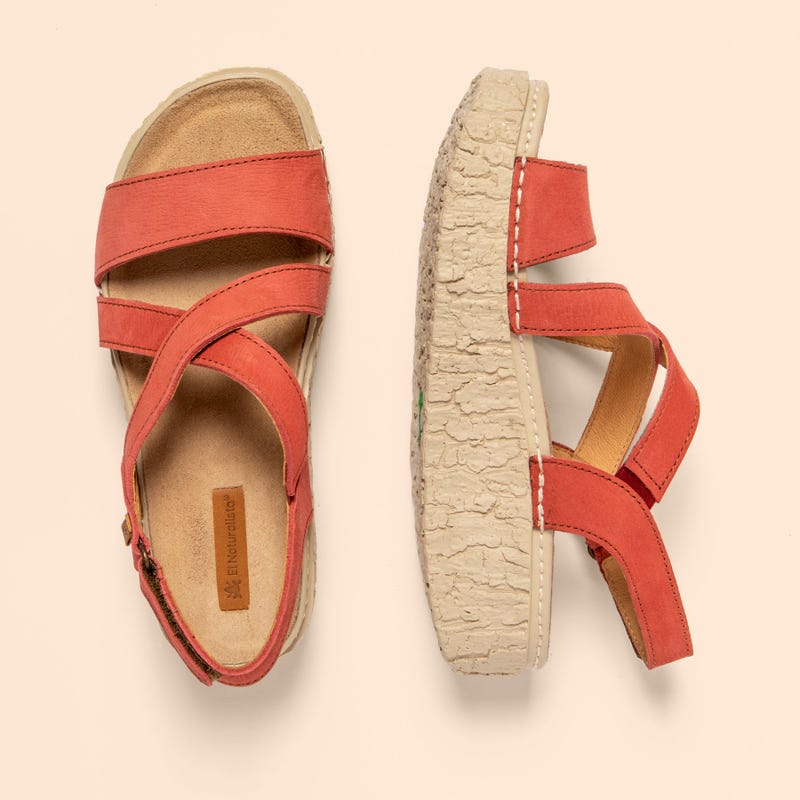 El Naturalista 5973 SHINRIN