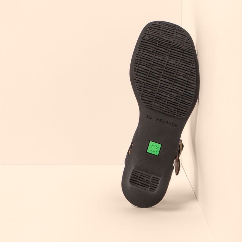 El Naturalista 5990 IGUSA