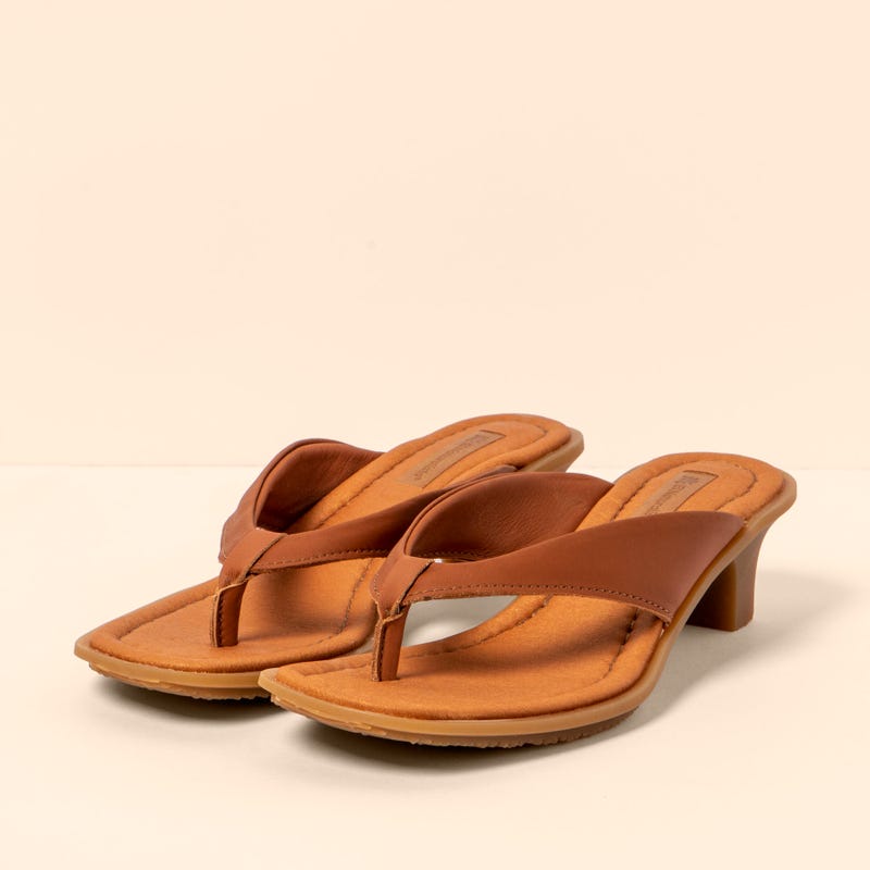 El Naturalista 5991 IGUSA