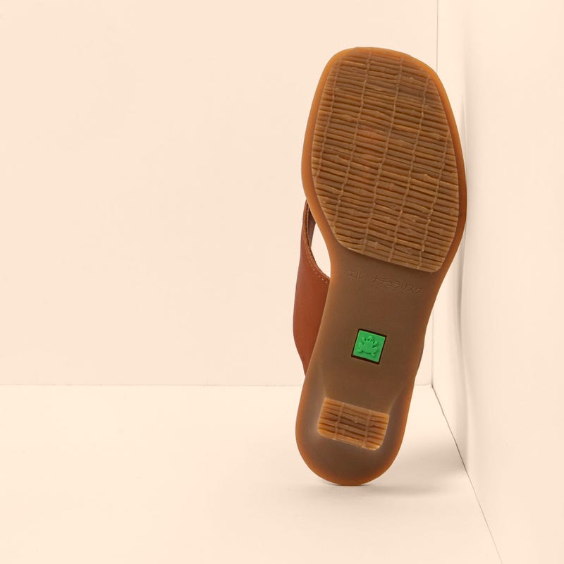 El Naturalista 5991 IGUSA