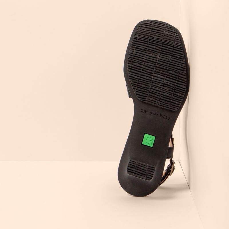 El Naturalista 5992 IGUSA