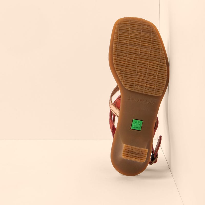 El Naturalista 5993 IGUSA