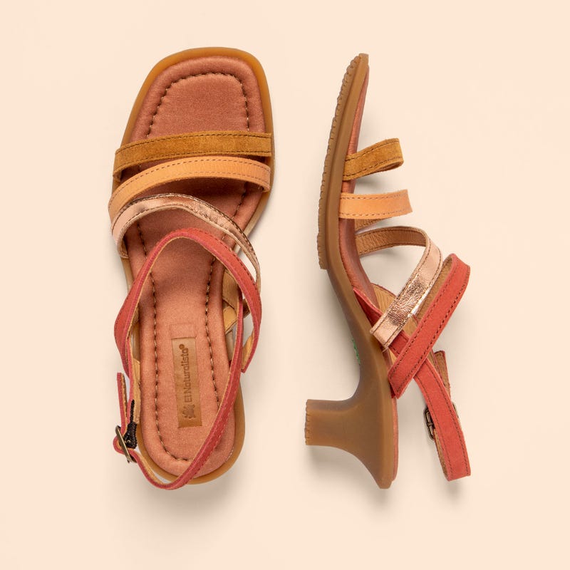 El Naturalista 5993 IGUSA