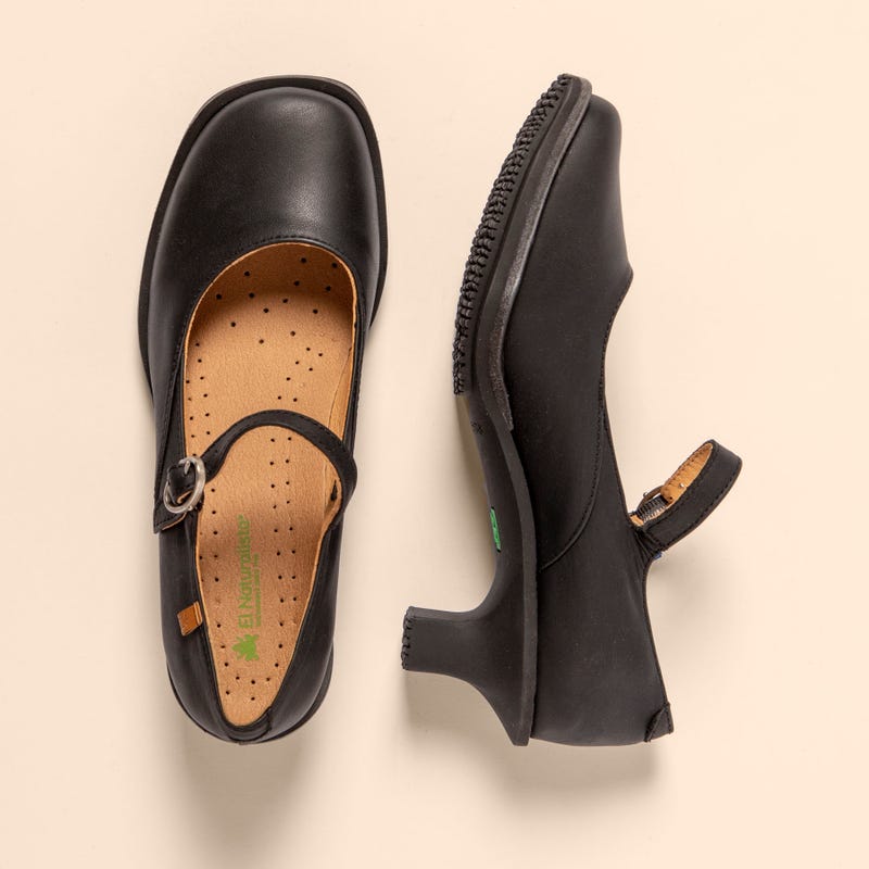 El Naturalista 5996 IGUSA