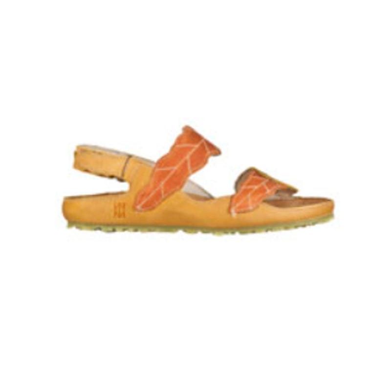 El Naturalista N119 IKEBANA